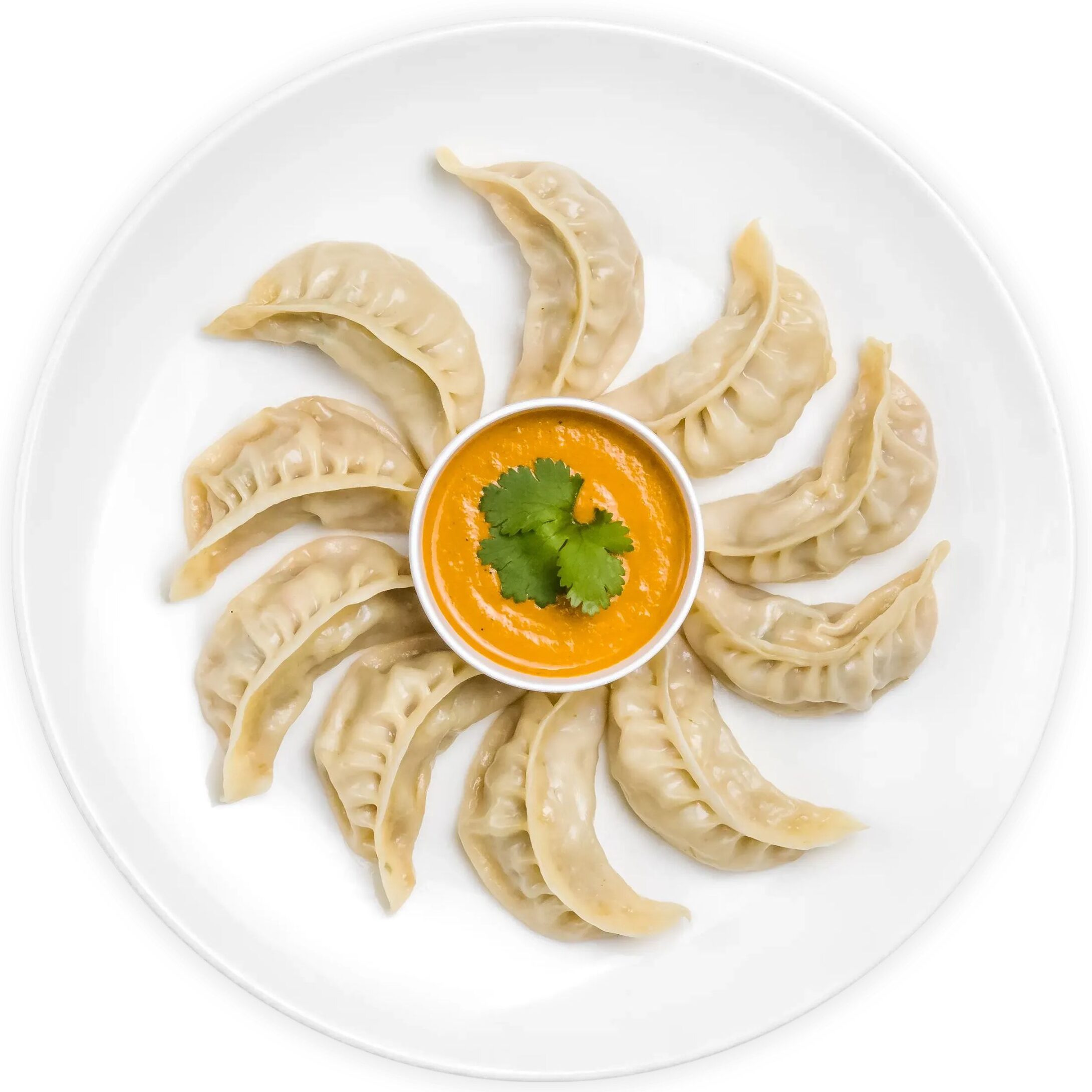 chicken-momo-e1742113353832.jpg